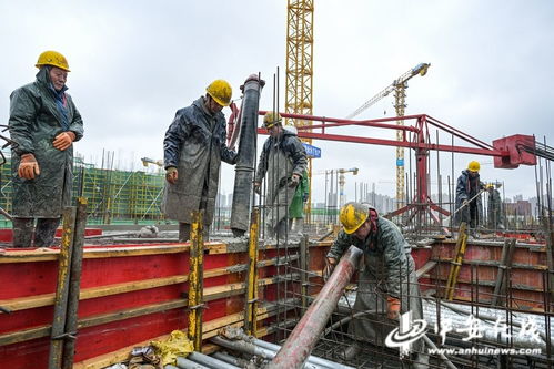 安徽建筑模板与家具板材实力供应商 能强优品木业解析