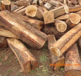 上海非洲黄花梨木材进口报关代理服务全解析 厂家、流程与价格指南