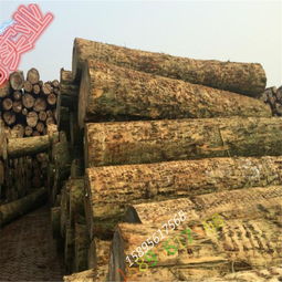 厂家直销精品辐射松工地木材 品质、优势与家具应用