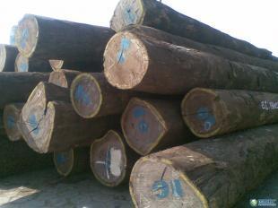 供应南非德班至东莞沙田港木材清关代理 | 专业沙田木材报关行服务指南